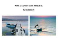 上海婵连网络科技有限公司
