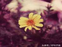 上海婵连网络科技有限公司
