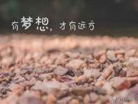 上海婵连网络科技有限公司