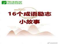 上海婵连网络科技有限公司