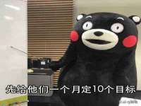 上海婵连网络科技有限公司