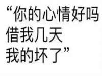 上海婵连网络科技有限公司