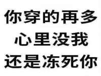 上海婵连网络科技有限公司