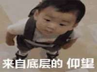 上海婵连网络科技有限公司