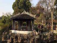 上海婵连网络科技有限公司