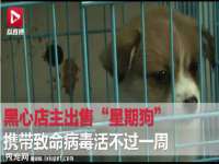 上海婵连网络科技有限公司