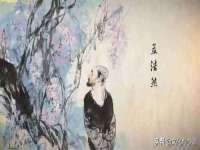 上海婵连网络科技有限公司