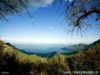 上海婵连网络科技有限公司