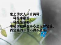 上海婵连网络科技有限公司