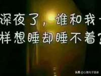 上海婵连网络科技有限公司