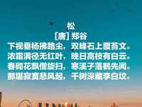 上海婵连网络科技有限公司
