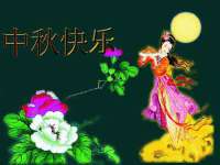 上海婵连网络科技有限公司