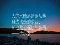上海婵连网络科技有限公司