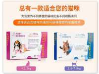 上海婵连网络科技有限公司
