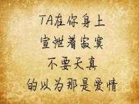 上海婵连网络科技有限公司
