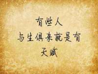 上海婵连网络科技有限公司