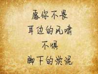 上海婵连网络科技有限公司