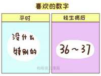 上海婵连网络科技有限公司