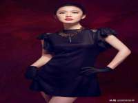 上海婵连网络科技有限公司