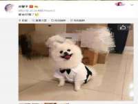 上海婵连网络科技有限公司