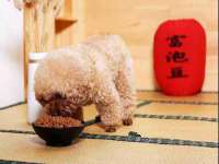 上海婵连网络科技有限公司