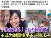 上海婵连网络科技有限公司
