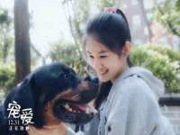 上海婵连网络科技有限公司