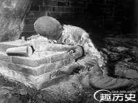 上海婵连网络科技有限公司