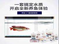 上海婵连网络科技有限公司