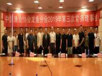上海婵连网络科技有限公司