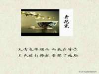 上海婵连网络科技有限公司