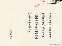 上海婵连网络科技有限公司