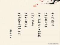 上海婵连网络科技有限公司