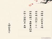 上海婵连网络科技有限公司