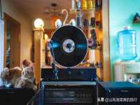 上海婵连网络科技有限公司