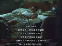 上海婵连网络科技有限公司