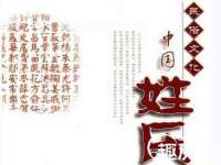 上海婵连网络科技有限公司