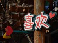 上海婵连网络科技有限公司