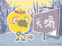 上海婵连网络科技有限公司