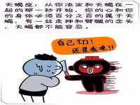 上海婵连网络科技有限公司