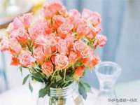 上海婵连网络科技有限公司