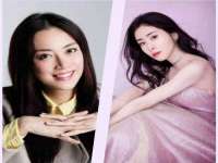 上海婵连网络科技有限公司