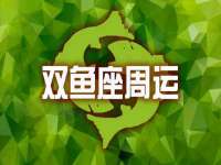 上海婵连网络科技有限公司