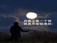 上海婵连网络科技有限公司