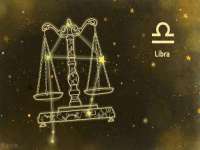 上海婵连网络科技有限公司