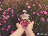 上海婵连网络科技有限公司