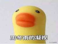 上海婵连网络科技有限公司