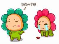 上海婵连网络科技有限公司