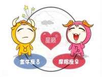 上海婵连网络科技有限公司
