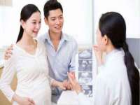 上海婵连网络科技有限公司